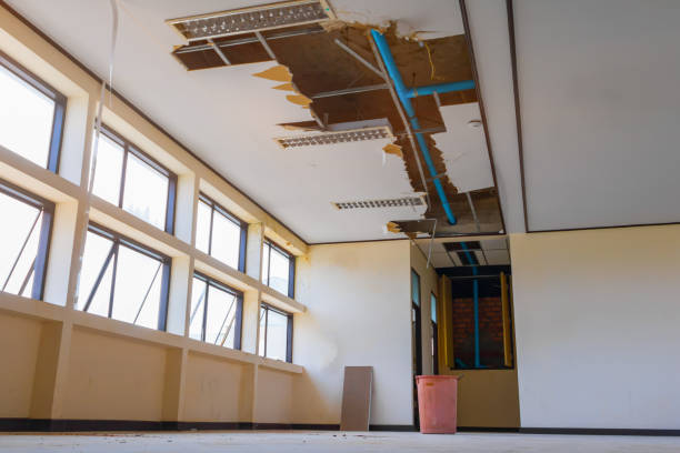 Best Water damage repair service  in Philipsburg, PA