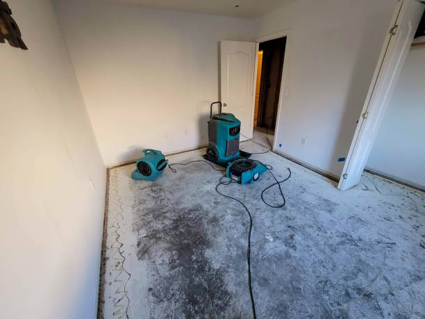 Best Water damage restoration near me  in Philipsburg, PA