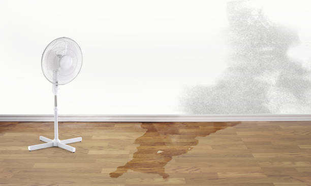 Best Ceiling water damage repair  in Philipsburg, PA