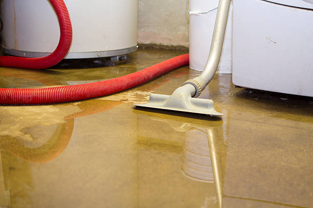 Best Ceiling water damage repair  in Philipsburg, PA
