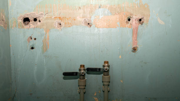 Best Flooded house restoration  in Philipsburg, PA